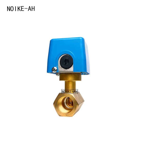 Brass Baffle Flow Switch NC01D