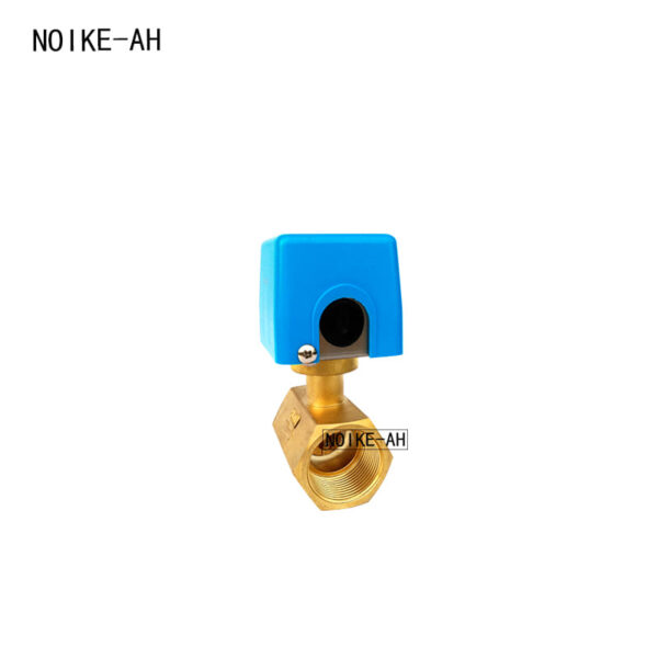 Brass Baffle Flow Switch NK01D